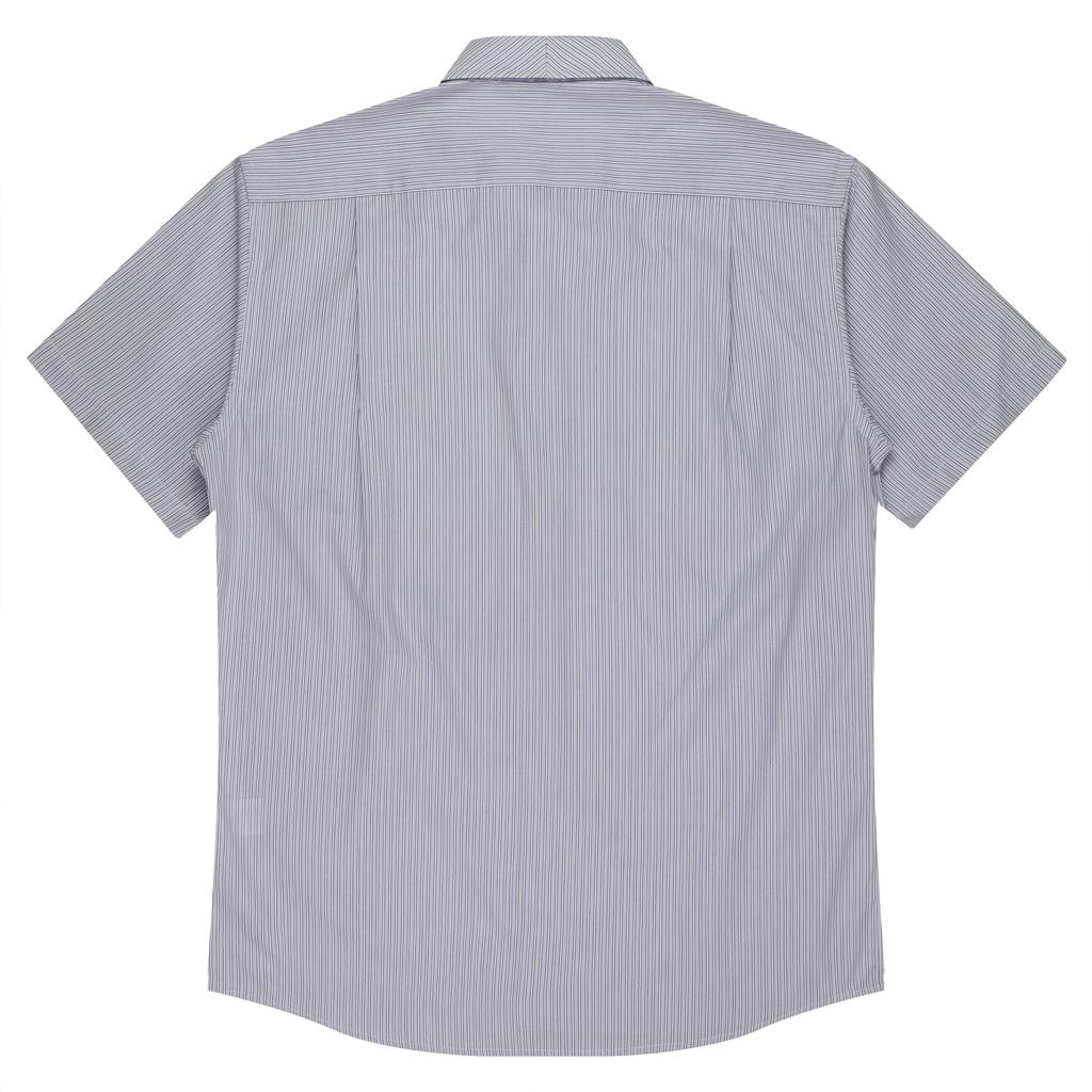Back - 1906S01194