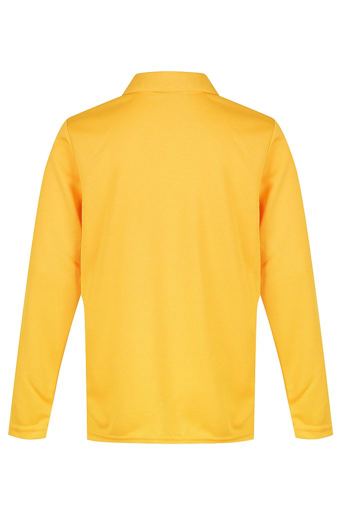 Back View - 3316061