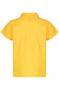 Back View - 3312066