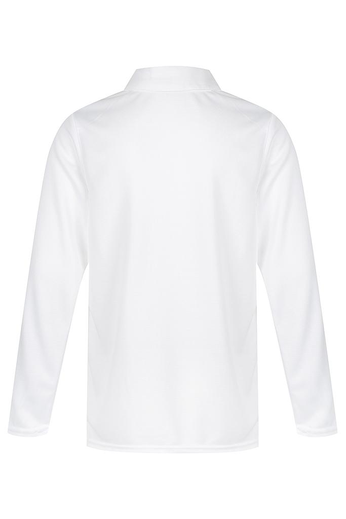 Back - 3316013